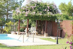 Villa Knossos