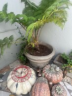 Dara Guest House