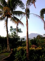 Villa Lihat Sawah