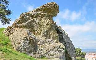 dovsOtel