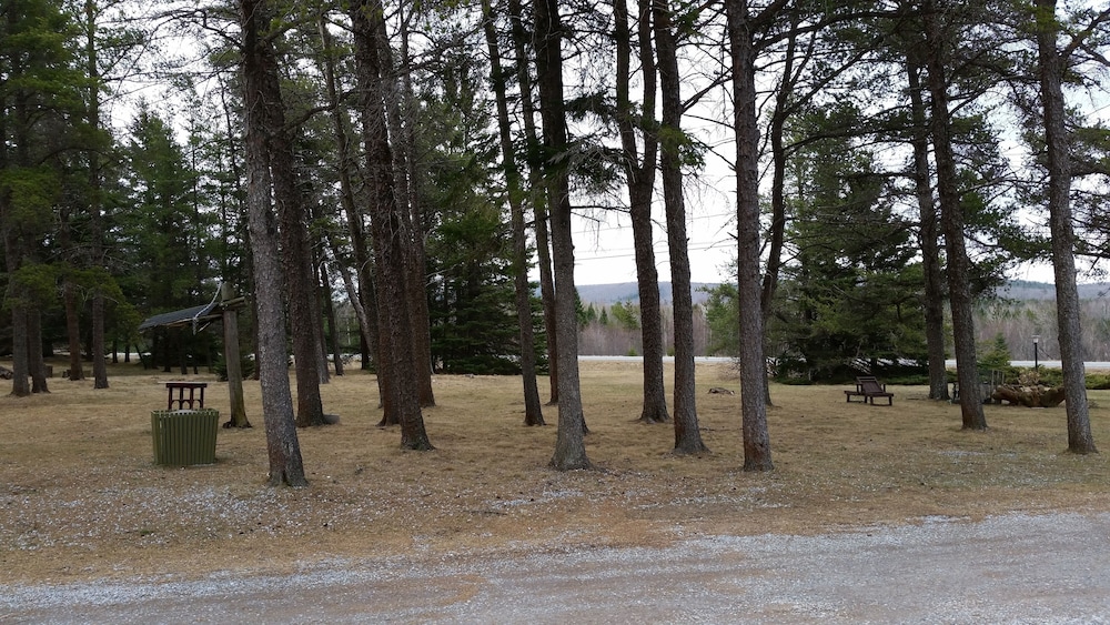 Pine cone Motel