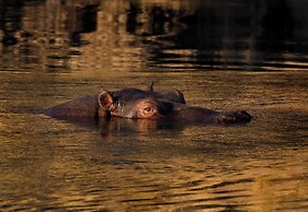 Zambezi Dusk