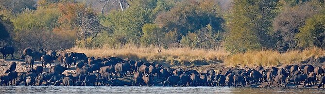 Zambezi Dusk