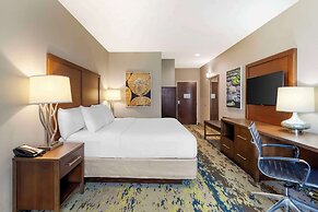 Comfort Inn & Suites Valdosta I-75