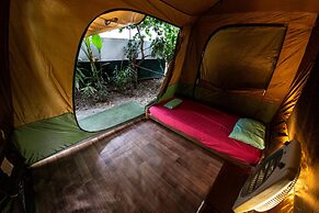 Dougies Backpackers