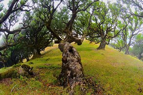 VILA TOCA by brugrani