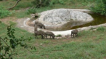 Baluleni Safari Lodge
