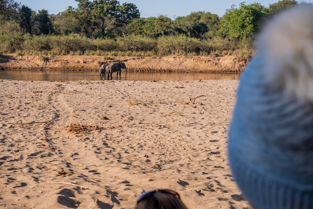Baluleni Safari Lodge
