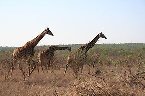 Baluleni Safari Lodge