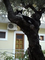 Sofos Apartments