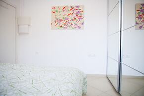Bograshov TLV