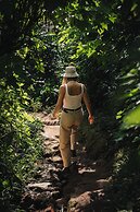 Silverback Lodge