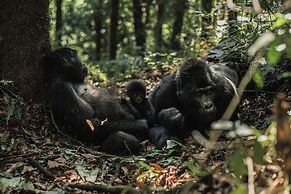 Silverback Lodge