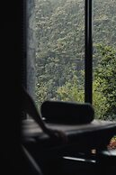 Silverback Lodge