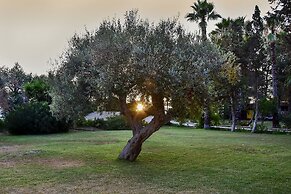 Tenuta Terenzano