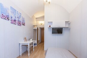 Hotel Nevsky 111