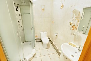 Hotel Nevsky 111