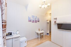 Hotel Nevsky 111