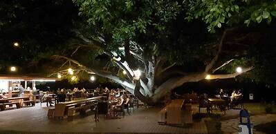 Marvel Tree Hotel