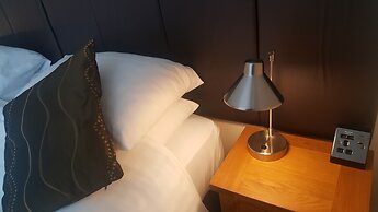 Geckos Rest