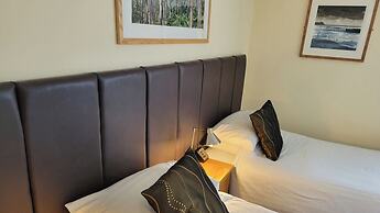 Geckos Rest