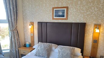 Geckos Rest