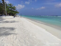Planktons Beach