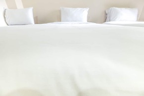 Don Muang Hotel