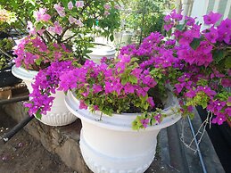 Aroma Villa
