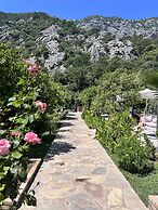 Arcadia Villas
