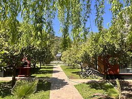 Arcadia Villas