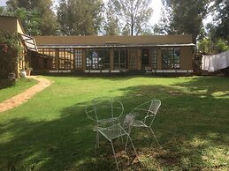 The Cradle Rest