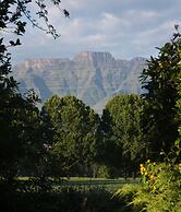 Ardmore Guest Farm