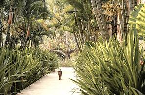 Origin Lombok