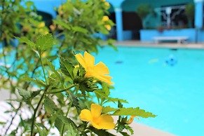Toro Blanco Resort