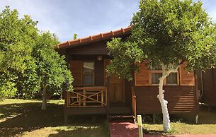 Baris Pension & Bungalows