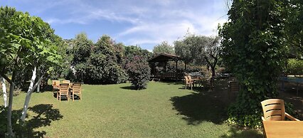 Baris Pension & Bungalows