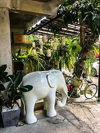 Now Chiangmai