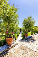 Liuba Houses