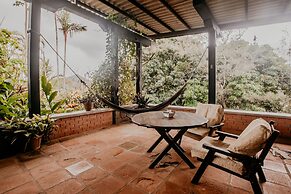 The Golden Frog Inn