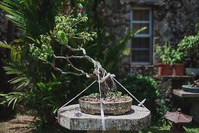The Golden Frog Inn