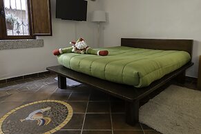 Amsicora 8