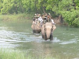 Nature Safari Resort