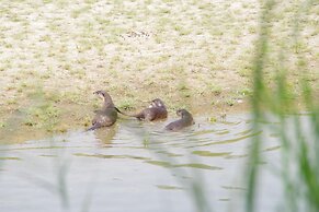 Nature Safari Resort