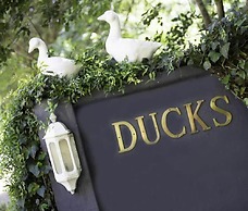 Ducks Country House