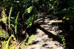 Los Quetzales Ecolodge & Spa