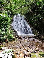 Mindo Eco chalet