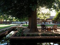 Noi Blend Colchagua