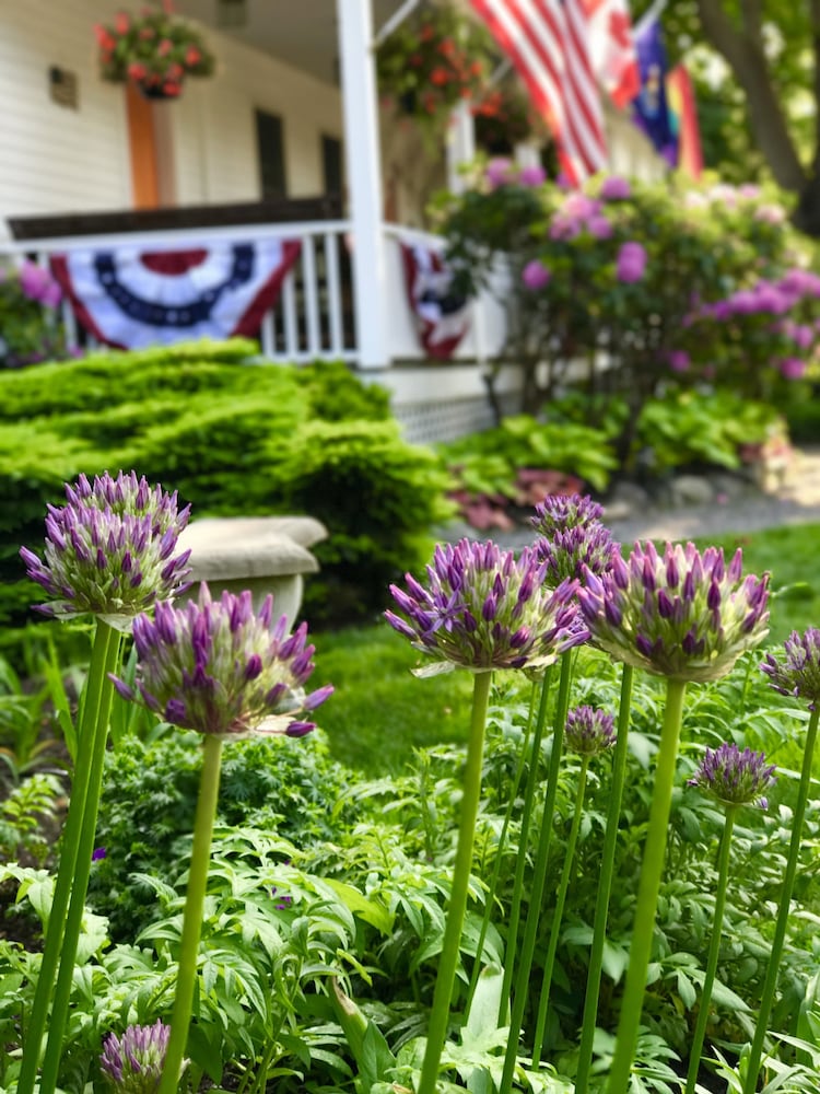 Bourne Bed and Breakfast