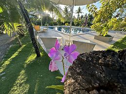 Vivo Inn